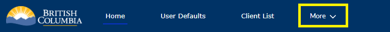 Banner_-_More.png